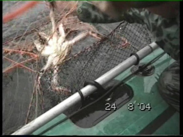 3) Работает КУБОМЕТР.jpg