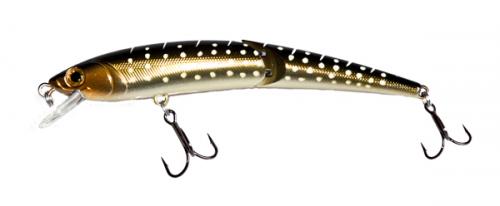 TS J Minnow 600.jpg