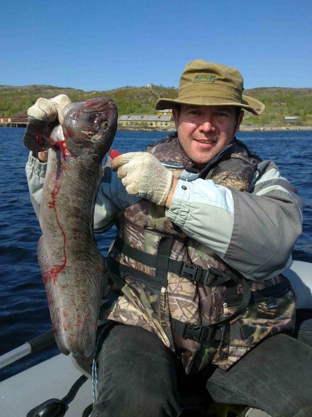 Зубатка 4.jpg