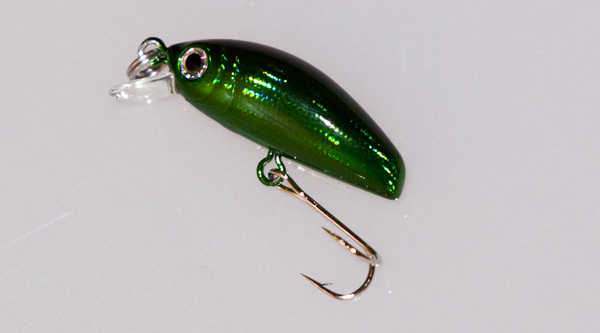 IC-Minnow 04.jpg