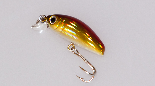 IC-Minnow 05.jpg