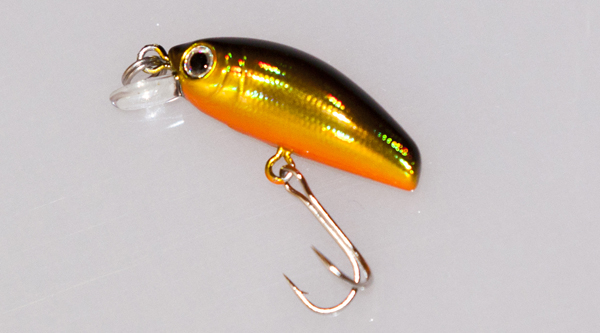 IC-Minnow 06.jpg