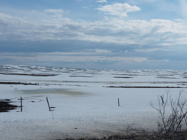 Лысое Плато 2017 0625.jpg