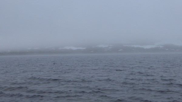 06 июля 2017 007.jpg