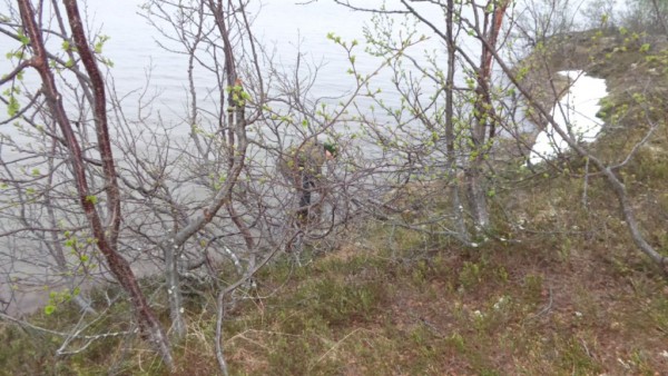 06 июля 2017 008.jpg