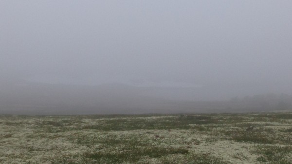 06 июля 2017 010.jpg