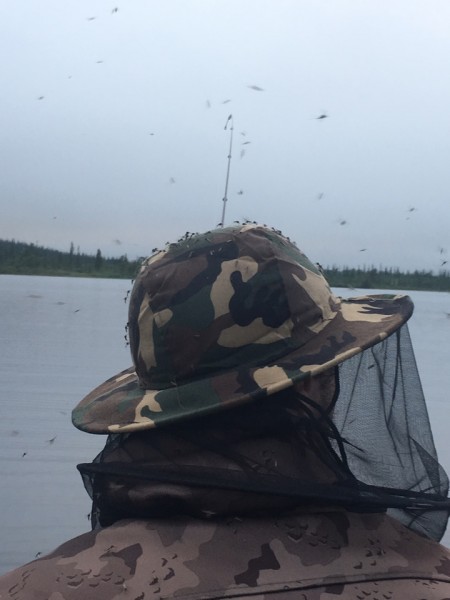 5.JPG (146.7 КБ) Просмотров: 8006 5.JPG