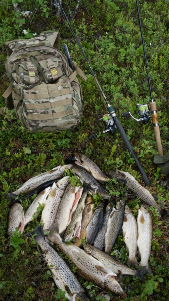 8.JPG (339.19 КБ) Просмотров: 8006 8.JPG