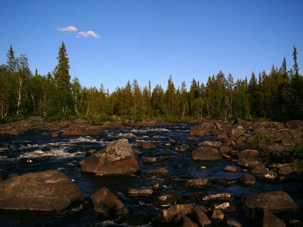 Орловка 23.06.11.jpg