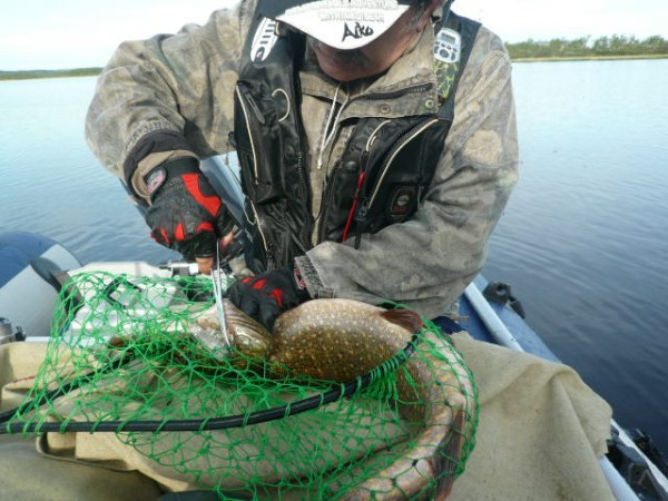 P1060816.JPG (93.17 КБ) Просмотров: 1509 P1060816.JPG