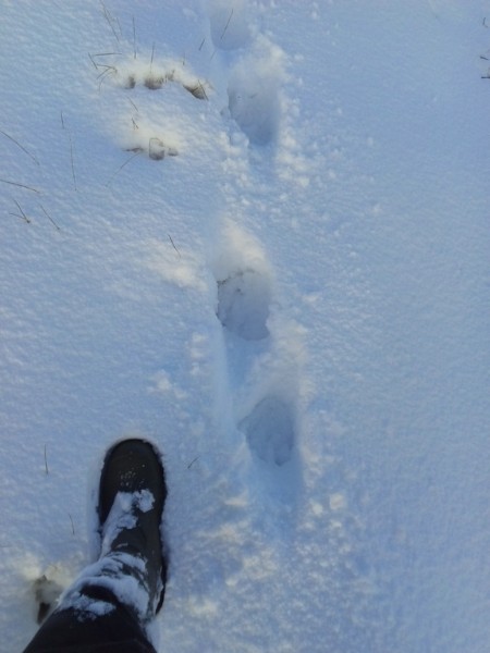 IMG_20171022_112537 (Копировать).jpg