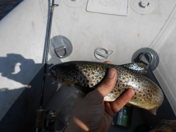 DSCN0482 (Копировать).JPG