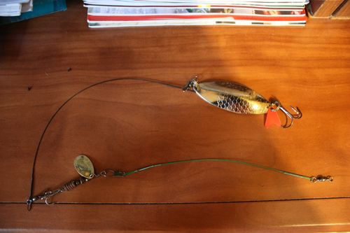 Трофей из блёсен.jpg