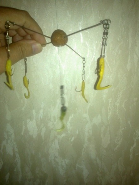 6) Зонтики для наваги.Белое море..jpg