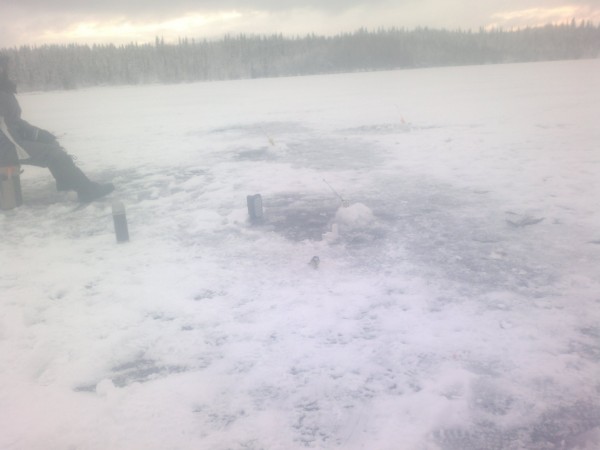 2017-11-26-687 (Large).jpg