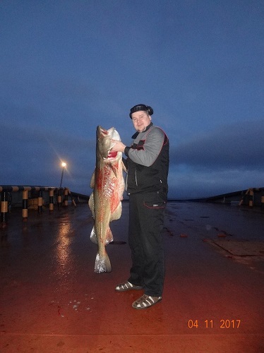 6) Новая Земля. Треска 37 кг. (506).jpg