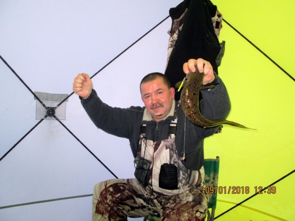 11 Чаячьи (2).JPG