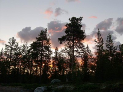 HPIM0960.JPG