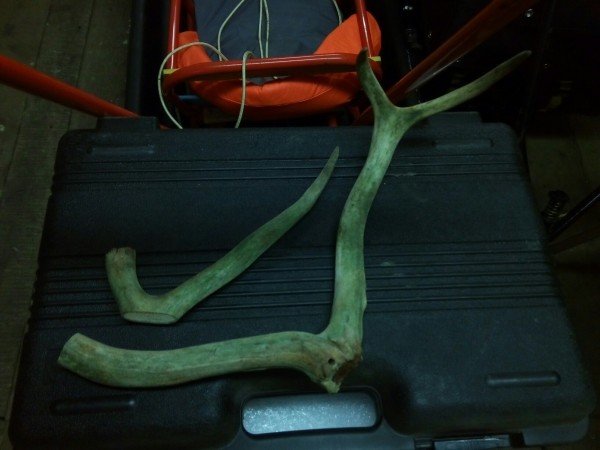 IMG_20180213_181416-1632x1224.jpg (314.86 КБ) Просмотров: 3037 IMG_20180213_181416-1632x1224.jpg