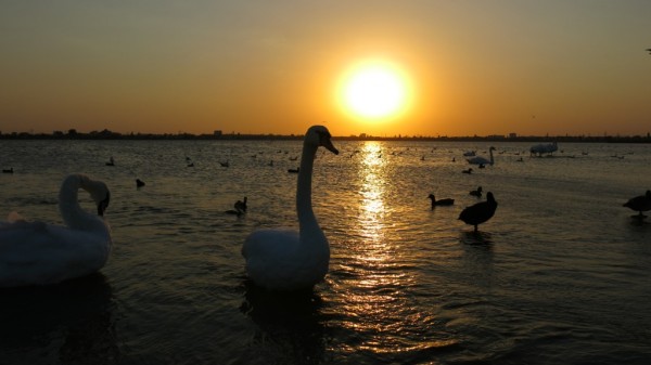 IMG_7103.JPG (146.17 КБ) Просмотров: 5875 IMG_7103.JPG