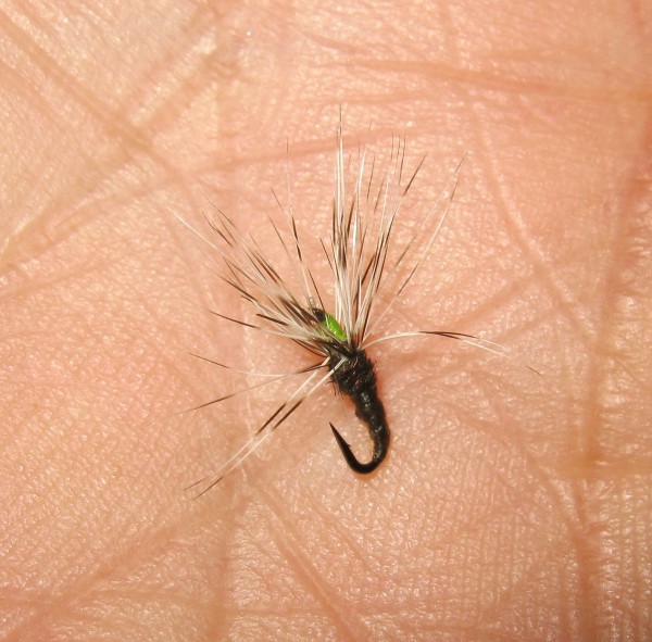 Кебари № 20.jpg (431.09 КБ) Просмотров: 17378 Кебари № 20.jpg