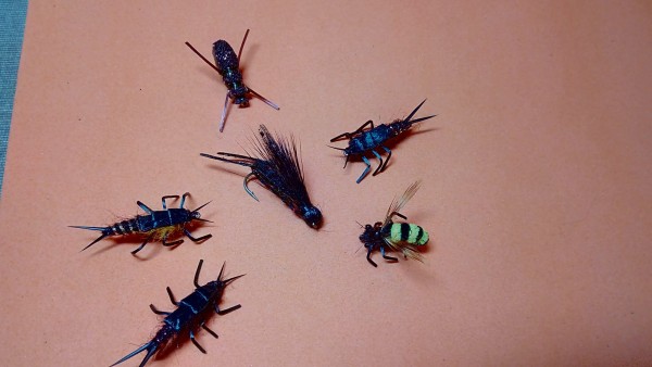 IMG_20180215_003617 (1).jpg