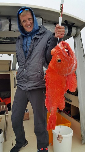 КАМЧАТКА красный морской ОКУНЬ (501).jpg