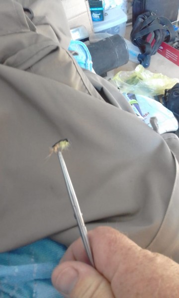 IMG-20180612-WA0000.jpg (61.91 КБ) Просмотров: 2475 IMG-20180612-WA0000.jpg