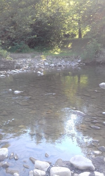 IMG-20180611-WA0002.jpg (142.16 КБ) Просмотров: 2490 IMG-20180611-WA0002.jpg