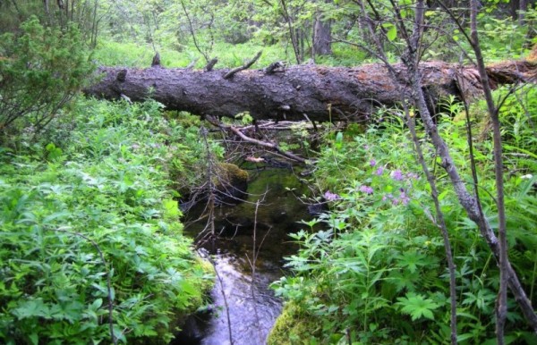 DSCN9429.JPG