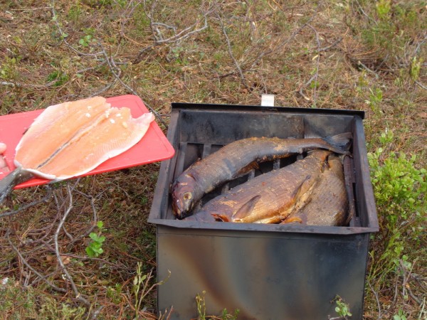 Прогулка 068.jpg