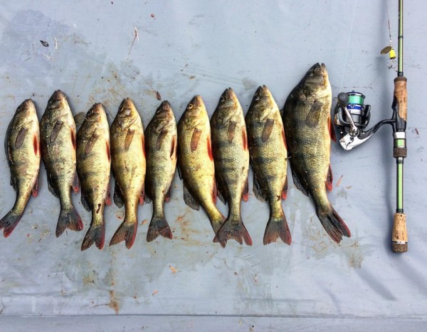 2BLBIFRJlEo.jpg (97.9 КБ) Просмотров: 3266 2BLBIFRJlEo.jpg