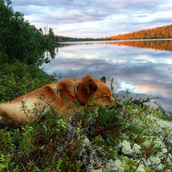 c0dxMcCC0GI.jpg (161.4 КБ) Просмотров: 3266 c0dxMcCC0GI.jpg