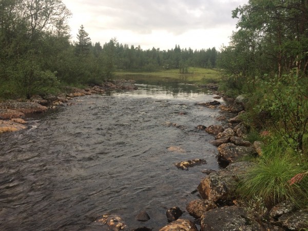 IMG_40761 — копия.JPG