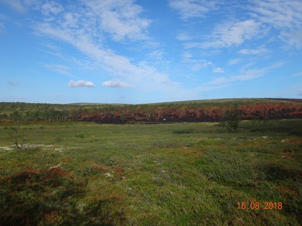 DSC05952.JPG