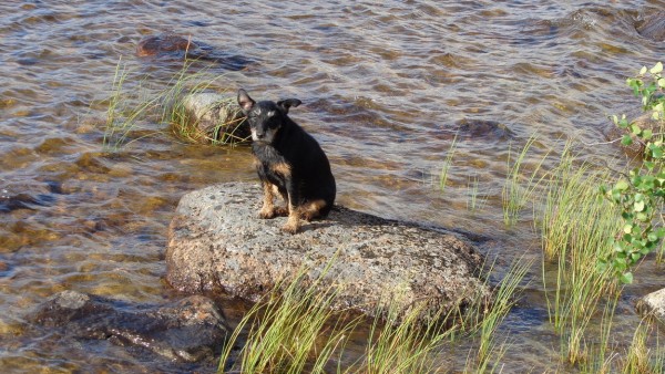 У Васильевича 005.jpg