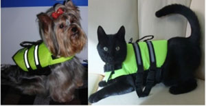 спасики для сабак и кошек.jpg