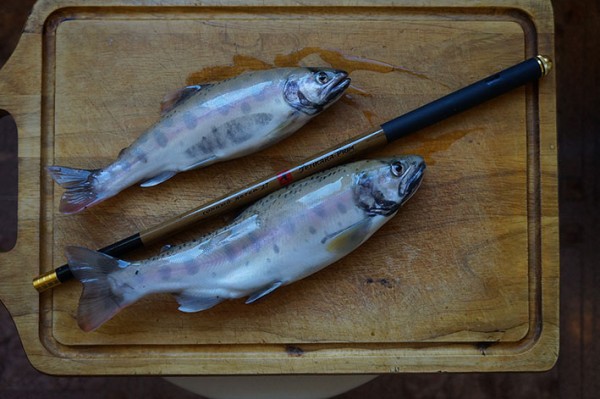 DSC04123_2.jpg (101.85 КБ) Просмотров: 3782 DSC04123_2.jpg