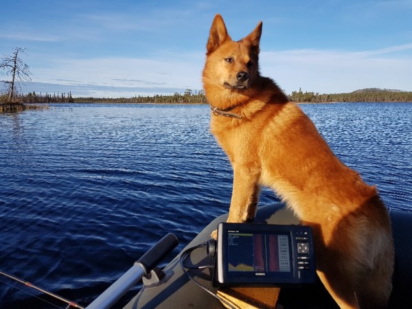 2018-10-11 11-10-50.JPG