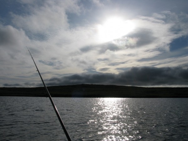 IMG_7363.JPG