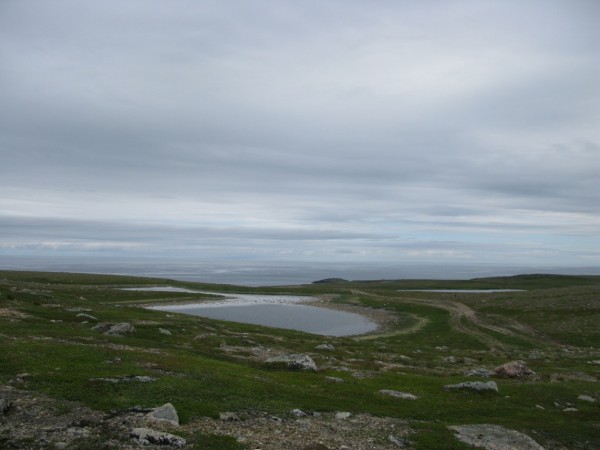 IMG_7398.JPG