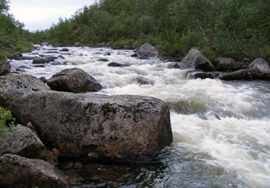 на реке