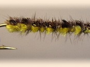 1000-legged-worm-001
