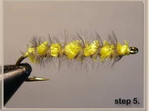 1000-legged-worm-006