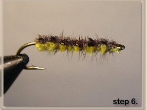 1000-legged-worm-007