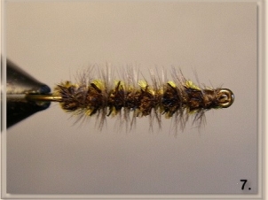 1000-legged-worm-008