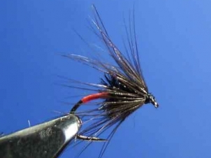 black-joe-001