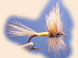 blond-wulff-001
