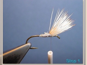 blond-wulff-002