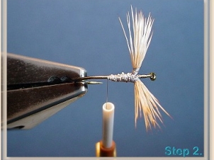 blond-wulff-003